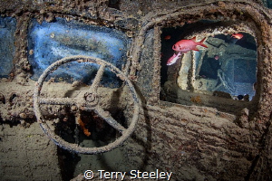 Cars and fishes. In the belly of the SS Thistlegorm.
— S... by Terry Steeley 